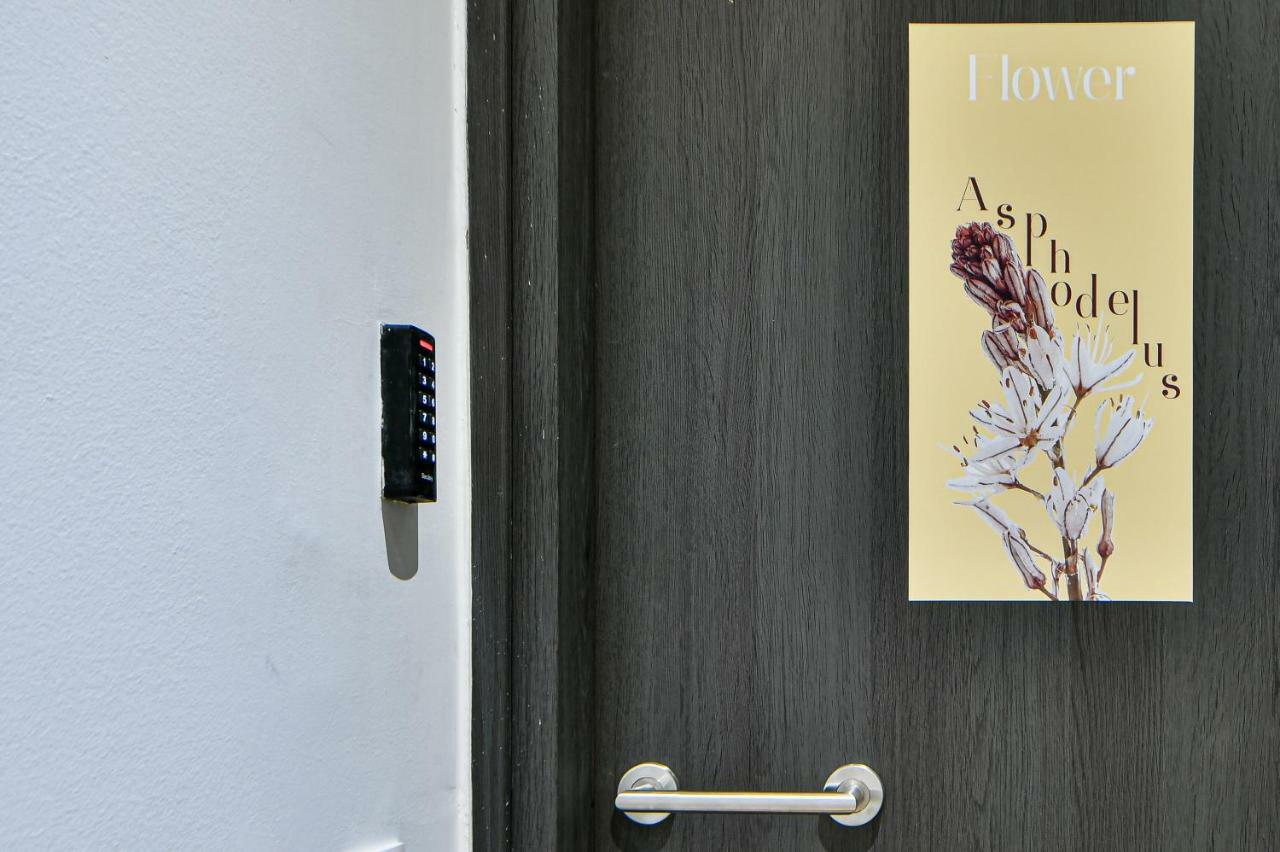Flowers Of Athens, Boutique Aparthotel With 6-Apartments In Central Athén Kültér fotó